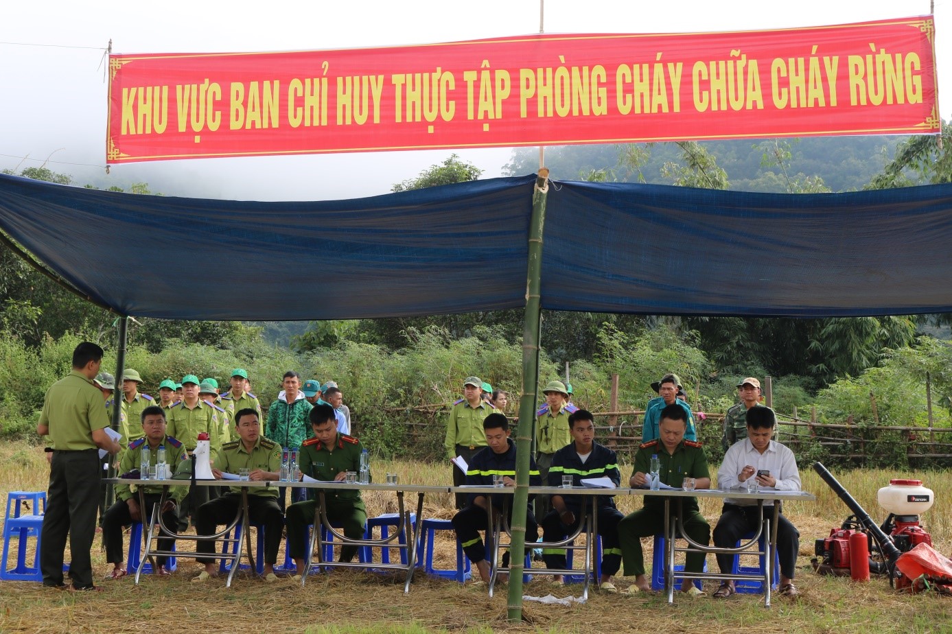 TTPC1.jpg