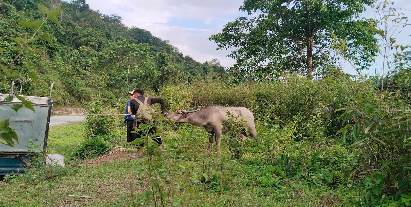 chungchai.jpg