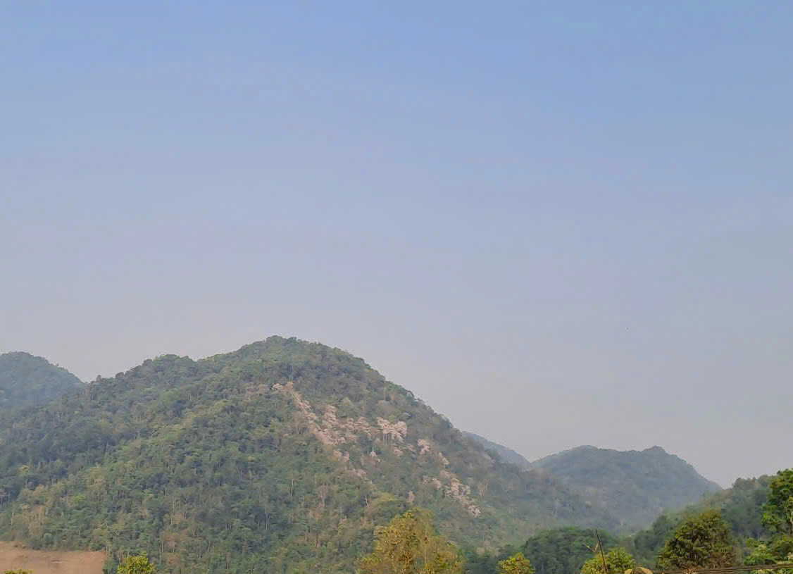 doi-hoa-ban.jpg