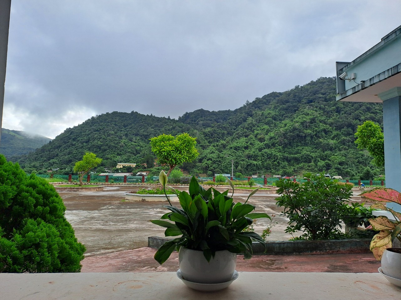 bancong.jpg